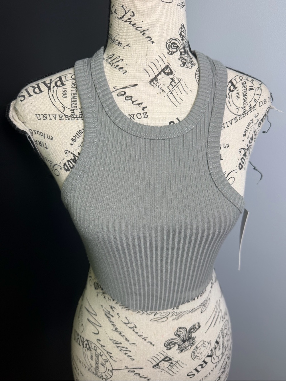 Steele Lorena Cropped Sleeveless Grey Top NWT Size XS